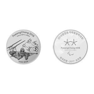 2018 평창 동계패럴림픽대회