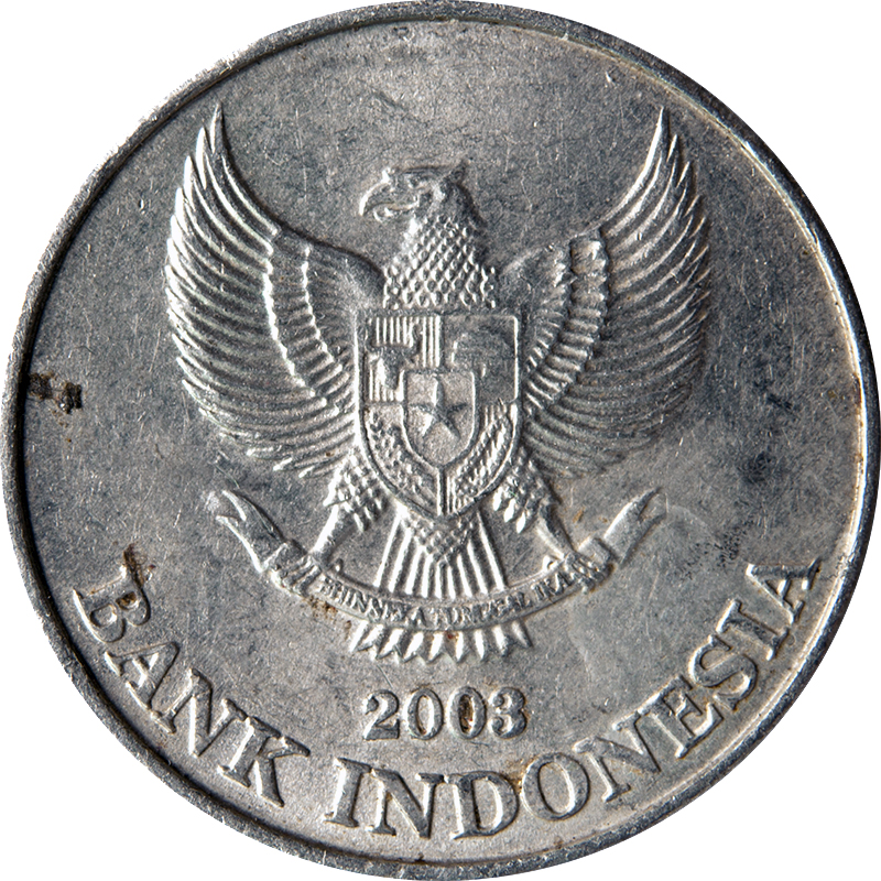 500 Ruphia