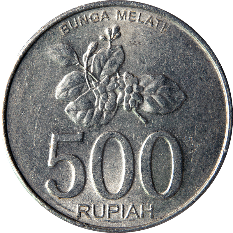 500 Ruphia