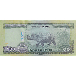 100 Rupees