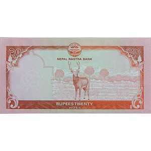 20 Rupees