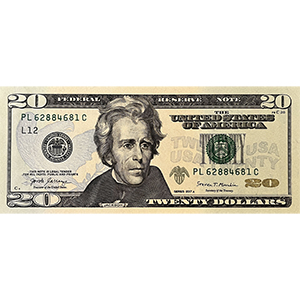 20 Dollars