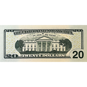 20 Dollars