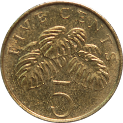 5 Cents
